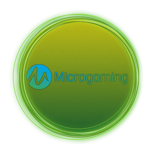 MICRO GAMING